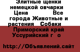 Элитные щенки немецкой овчарки › Цена ­ 30 000 - Все города Животные и растения » Собаки   . Приморский край,Уссурийский г. о. 